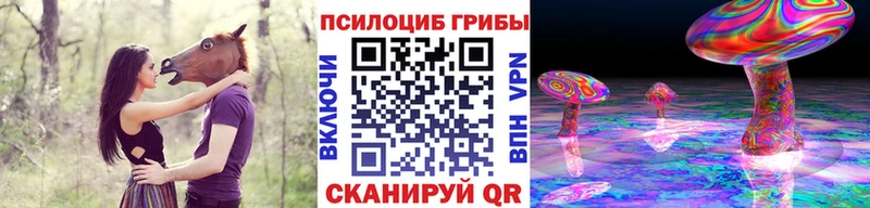 Галлюциногенные грибы Psilocybine cubensis Мурино